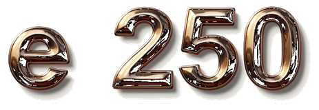 e 250 logo